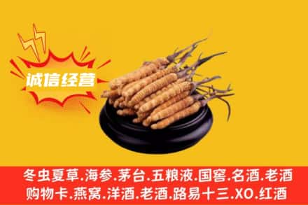 焦作市博爱回收冬虫夏草